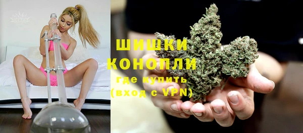 гашик Аркадак