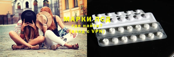гашик Аркадак