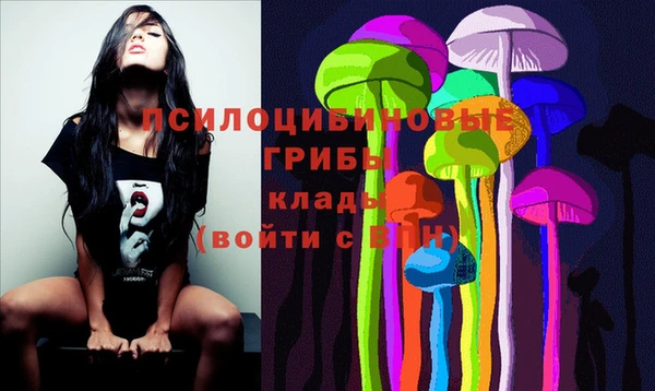 гашик Аркадак