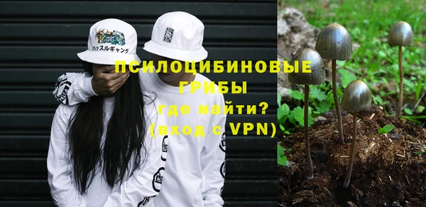 spice Армянск