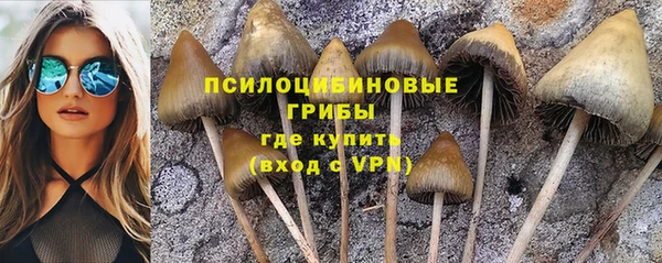 гашик Аркадак