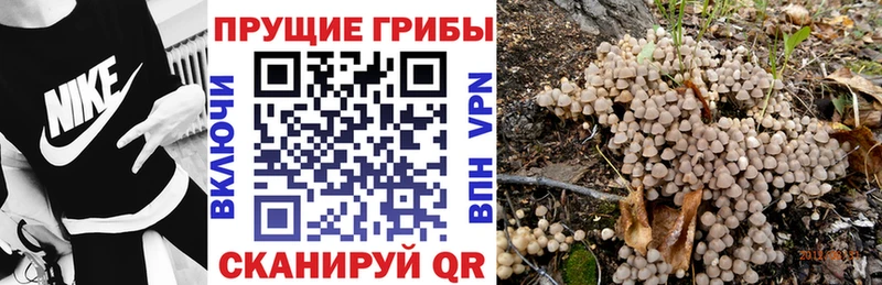Псилоцибиновые грибы Magic Shrooms  Славянск-на-Кубани 